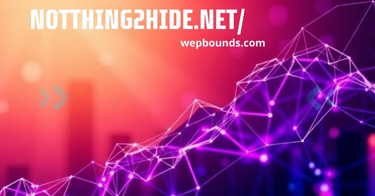 Notthing2hide.net/: A Complete Guide to Digital Privacy and Transparency